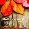 MOHORJEV KOLEDAR 2017