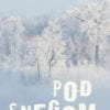 POD SNEGOM