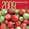 MOHORJEV KOLEDAR 2009 z NAMIZNIM KOLEDARJEM 2009