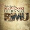 DELOVANJE SLOVENSKIH DUHOVNIKOV V RIMU V 20. STOLETJU