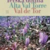 TERSKA DOLINA - ALTA VAL TORE - VAL DE TOR