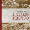Z UDARNO PESTJO