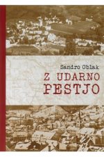 Z UDARNO PESTJO