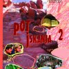 POT ISKANJA