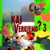 KAJ VERUJEMO?